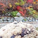 목교농장 이미지