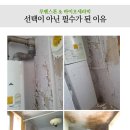칠공사 이미지