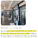 행운365메디칼 | 강아지 비장종양, 알아두어야 할 모든 것