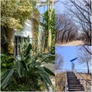 용산생활체육공원 공중화장실 | 서울 여행 • 가볼 만한 곳 성수동 서울숲 사슴 · 벚꽃 · 데이트 곤충식물원 생태숲 서울 지하철 여행