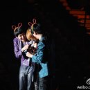 꽁냥꽁냥 이미지