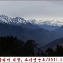 코사인 이미지