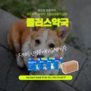 화이트플러스치과의원 이미지