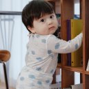 달퐁