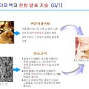 아톰미 이미지