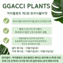 까치플랜츠