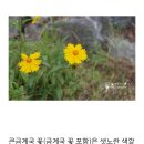 홍천천 이미지