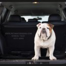 지에스25상동서해점 이미지