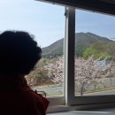 천주산식당 이미지