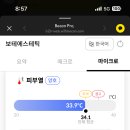 보테에스테틱 이미지