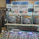 삼양수산 | 삼양라면1963 aka.우지라면 먹어본 후기 + 이번주 장바구니 기록