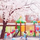 파프리카유치원 이미지