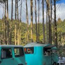 제주 드 루앙 이미지