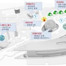 과학관 달빛캠핑 신청자 모집 안내 이미지