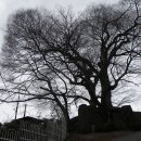 천반산길 이미지