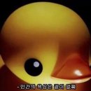 리틀리버