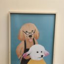 유폴 애견셀프목욕, 애견미용, 애견용품 직영점 이미지