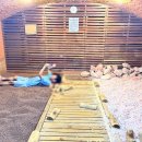 옛날 불한증막 이미지