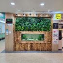 플랜티움 수직아쿠아포닉스 신규 제작 - 서울 새롬학교 New work vertical aquaponics at Saerom school 이미지