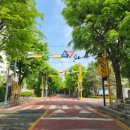 장안초교 앞 이미지