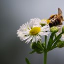 비온후풍경 이미지