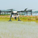 자연한우농장 이미지