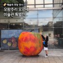 피카소 안경 | 예술의 전당 전시 오랑주리 오르세 특별전 주차 도슨트 굿즈 등 관람 후기