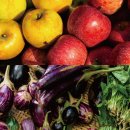 농부의 열매 이미지