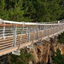 헌화로슈퍼 이미지