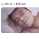글리제977 이미지
