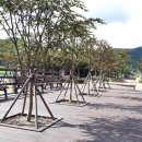 의병광장(공원) 이미지