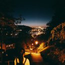 DOG&U | 3월 독일 일상 (4) | 거의 먹기만 한 체코 프라하 출장, MMK, 첫 이사