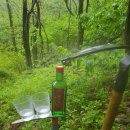 갈삼대로 이미지