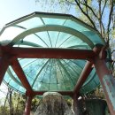 영풍두월리약사여래석불 이미지