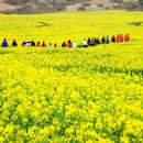 표선면-12 이미지