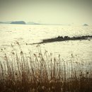 솔나무호스텔 이미지