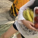 UR(파주시)-[교하로]-하-22 | 7월 특이점