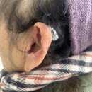 포낙보청기 부산서면센터 | 포낙보청기 부산서면센터 2026년 기준 정부지원금제도