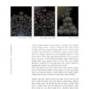 월광(Moon Light) 네이버블로그