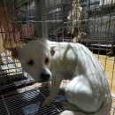 데메4길 이미지