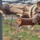 일비농장 이미지