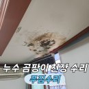 부천서초등학교 | 천장 누수 곰팡이 석고보드 교체 작업 전문