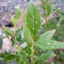 예성농장 이미지