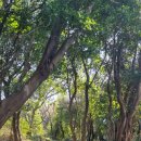 문화민박 이미지