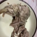구역전식당
