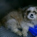 화창운수 이미지