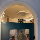 에이스하우스 | [🏅하우스엔젤 베스트후기] 에이스 ABS 유리타공도어 (AT-07, 1188S, 투명유리)