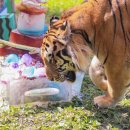 서울대공원 이미지