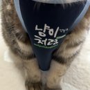 씨엔케이몰