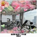 오르카짐